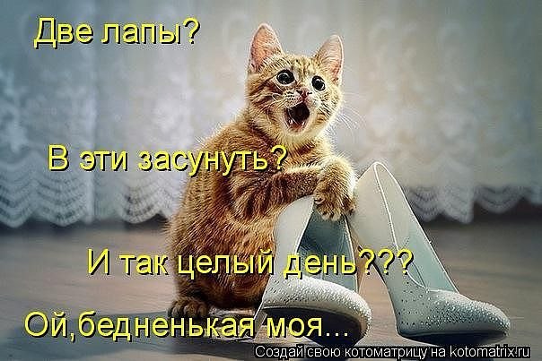 Дмитрий Т | Георгиевск