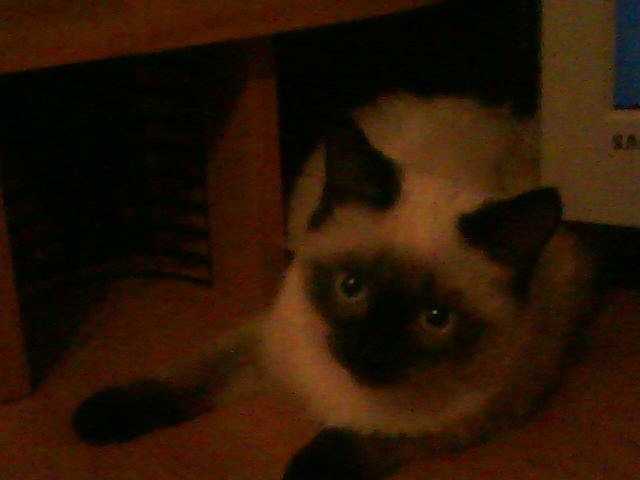 Мария Ткачёва | Казань