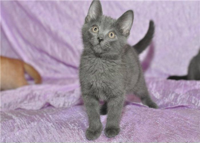 №21, Наталья Закамскова, Новокузнецк №21, Наталья Закамскова, Новокузнецк