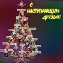Фотография Шведова Сани