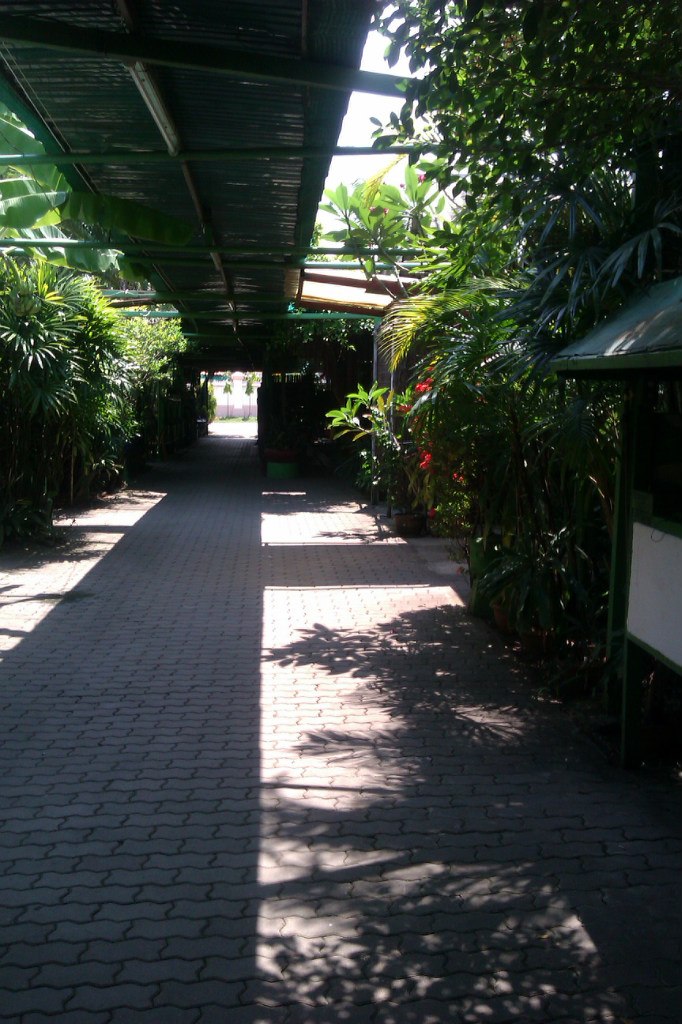 Александр Пак Пакость | Киев