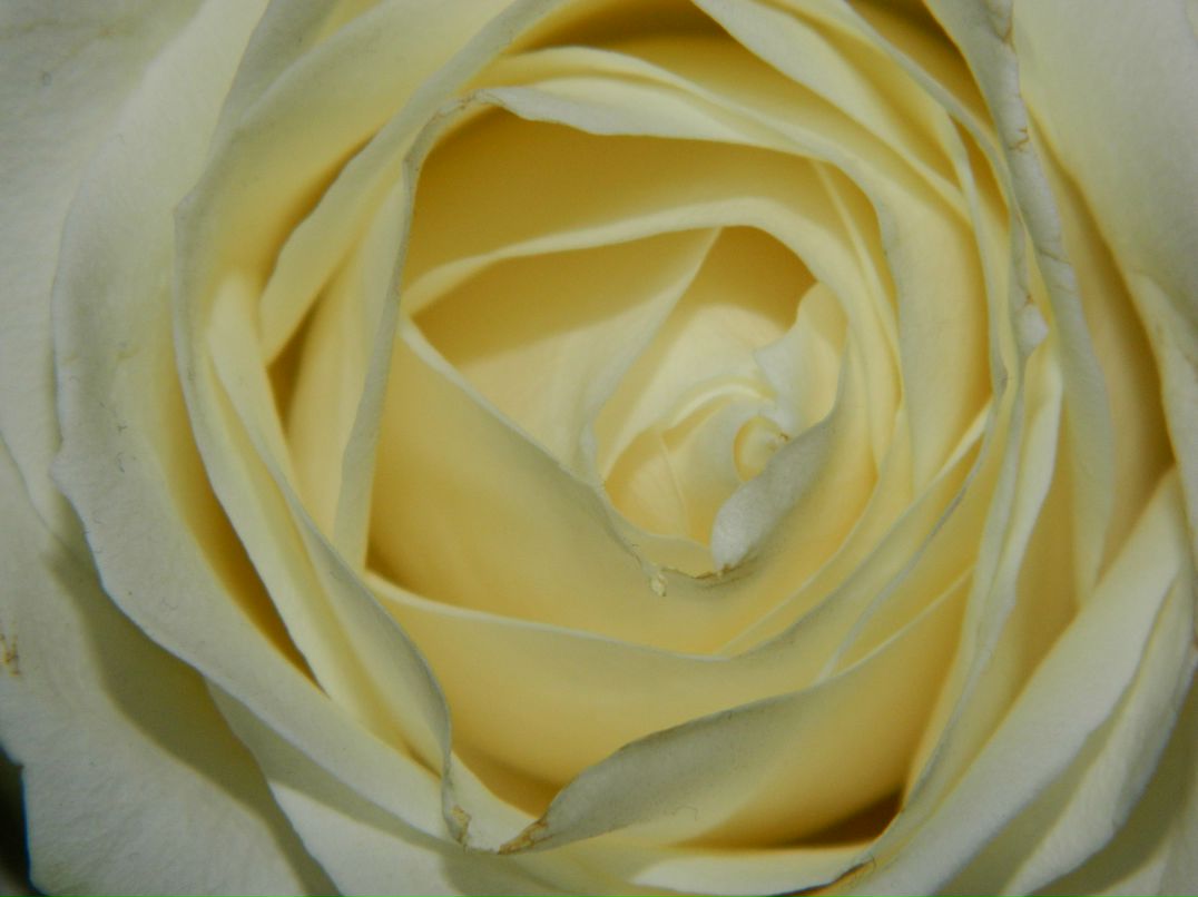 Ekaterina Henzel | Dortmund