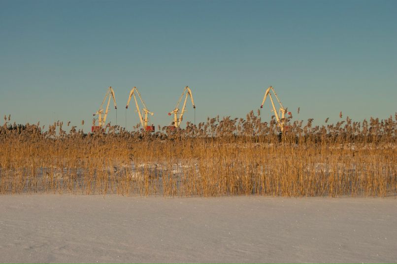 Александр Митроев | Пудож