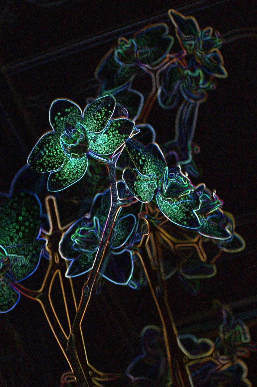 Кристина Лапицкая ॐ Krista Feeva ॐ | Москва