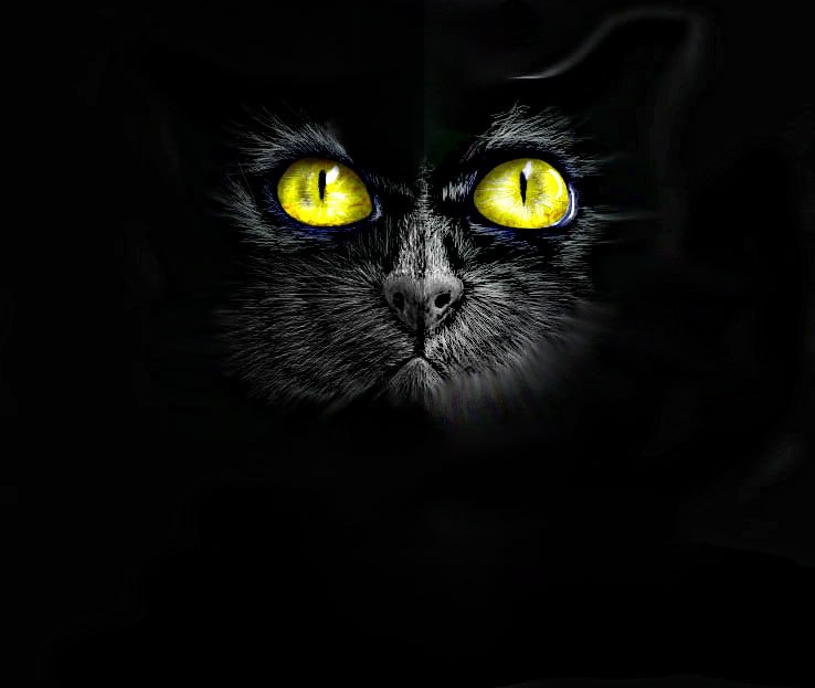 Андрей Стребулаев | Нижний Новгород