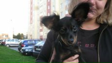 №23 Ирина Рублева : профиль, фото, статус - ВКонтакте