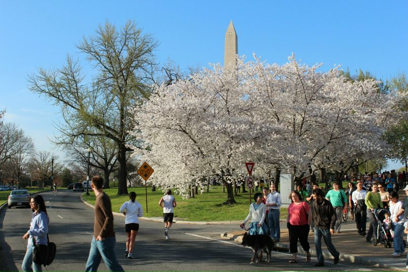 Валентина Кингсолвер | Albuquerque