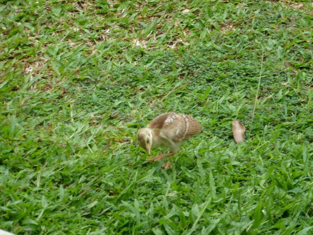 Александр Стуглев | Санкт-Петербург