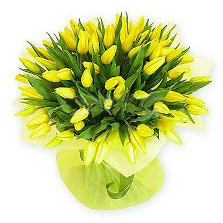 Клим Летов Rastaone | Москва