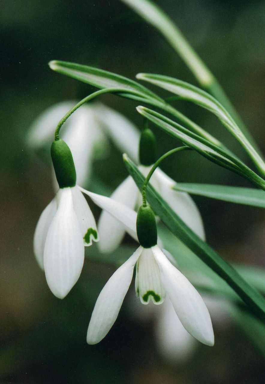 Айсылу Акимбетова | Уфа