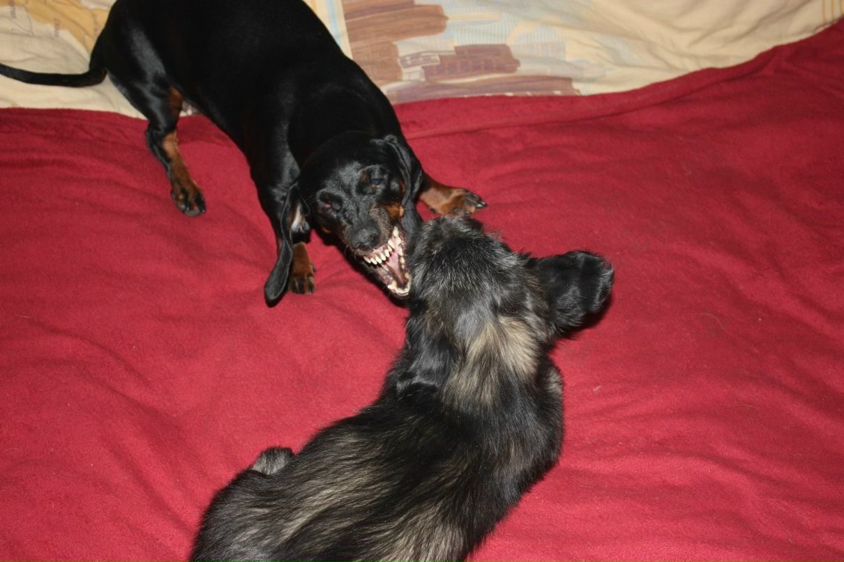 Ангелина Сартакова | Санкт-Петербург