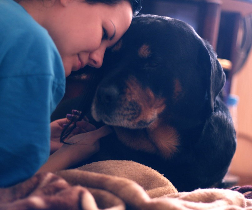 Елена Александровна 