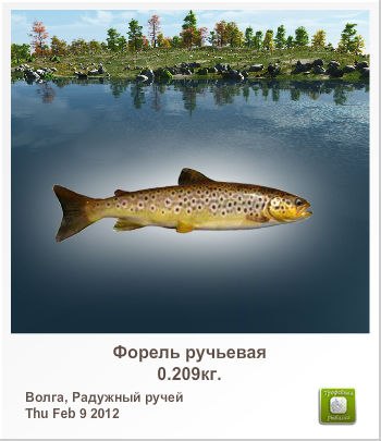 Сергей Корсунский | Харьков