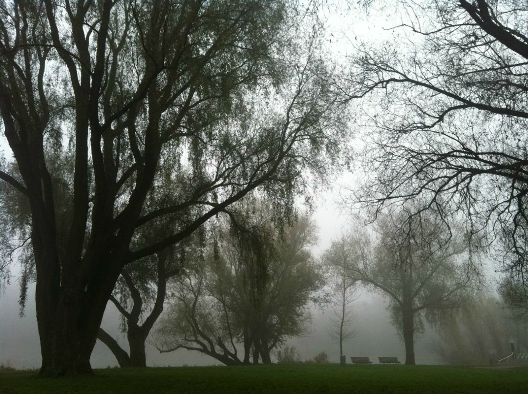 Ксения Виват | Москва