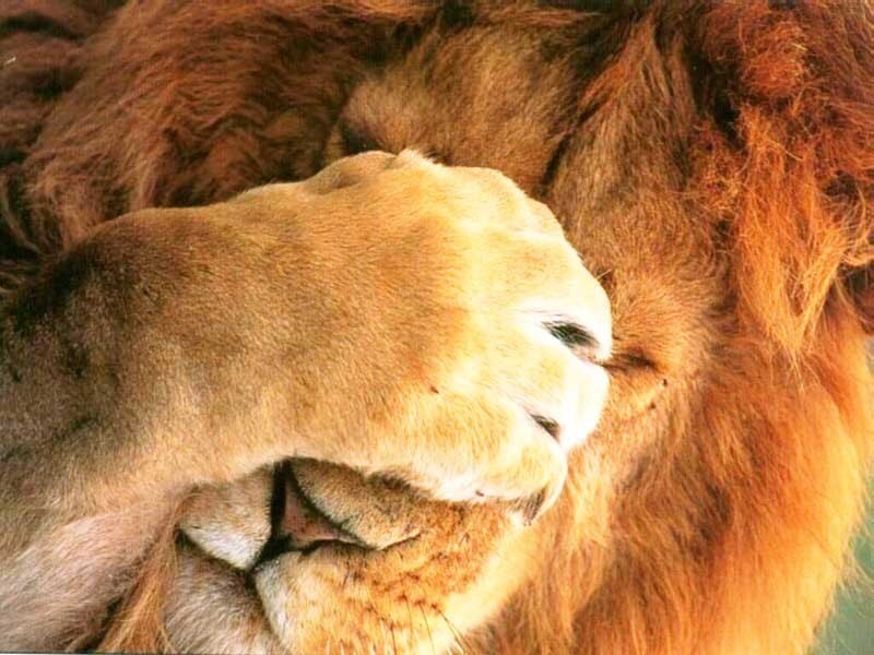 Александр Деркульский | Луганск