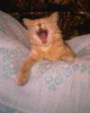 Олег Пасхин | Нижний Новгород