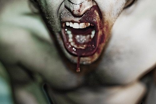 Саша Теров | Киев