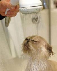 №85, Natalia Natalia, 26 лет, Иерусалим №85, Natalia Natalia, 26 лет, Иерусалим