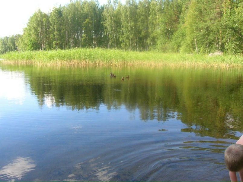 №101, Anna Kanninen, 71 год, Savonlinna №101, Anna Kanninen, 71 год, Savonlinna