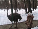 Фотография Румянцевой Оли