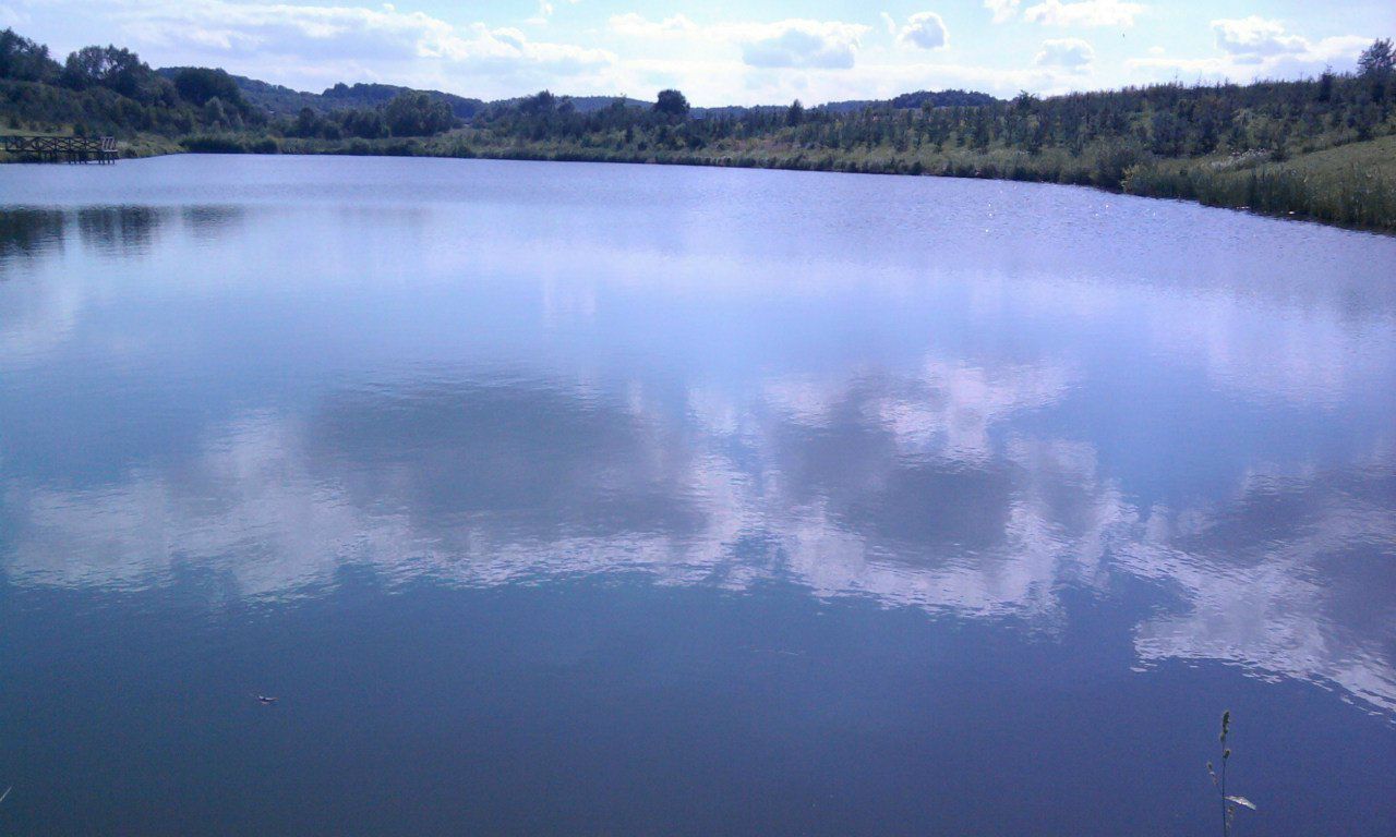 Вадим Волошиновський Володимирович | Львов