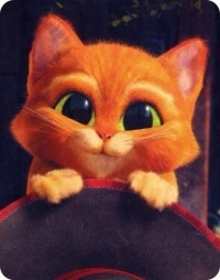 №2, Снежана Наставшева №2, Снежана Наставшева