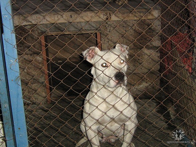 Վահան Zakaryan | Москва