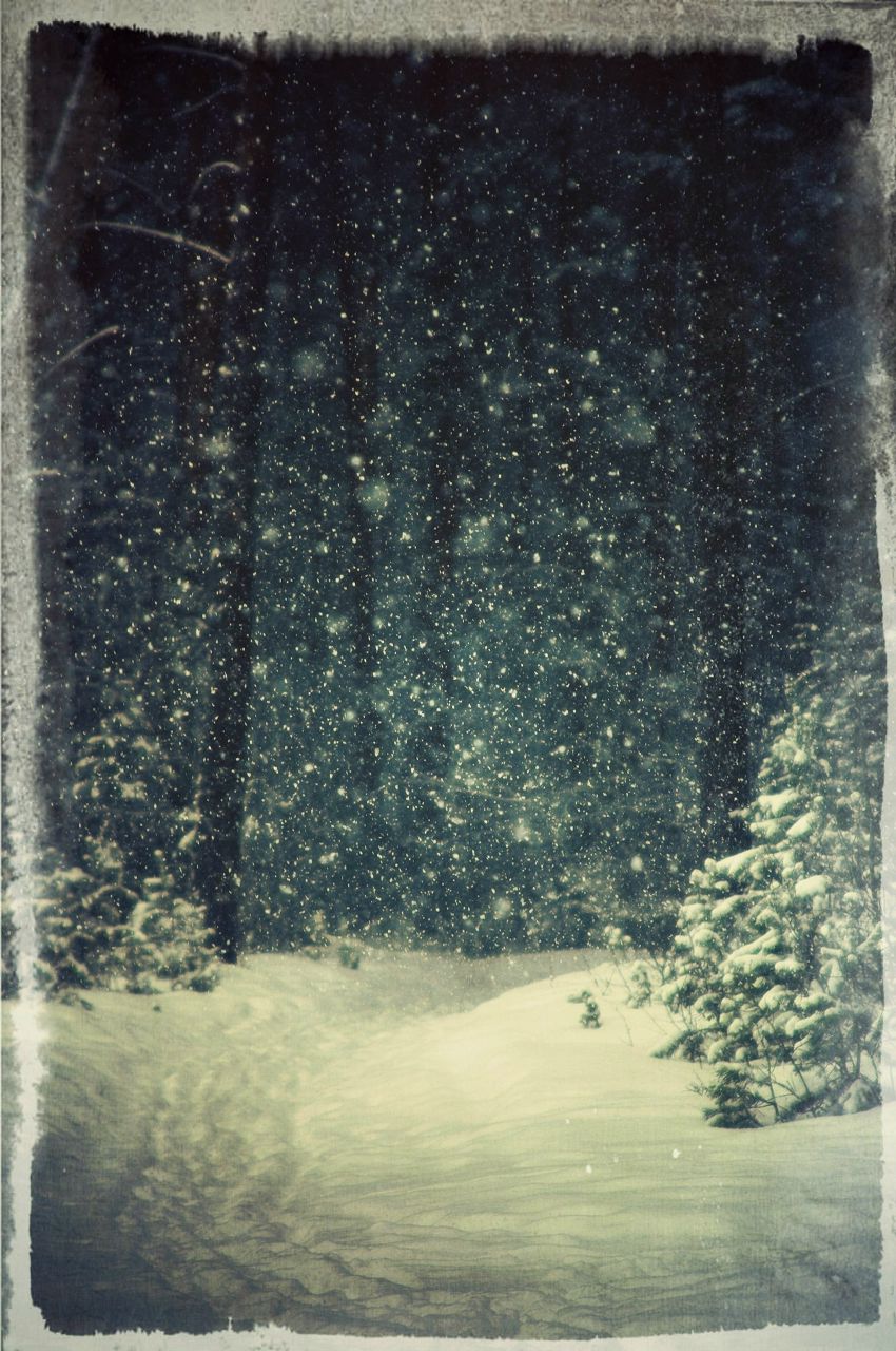 Екатерина Лузина | 