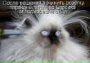 Фотография Инна Прищик