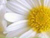 Татьяна Кармазин | Киев