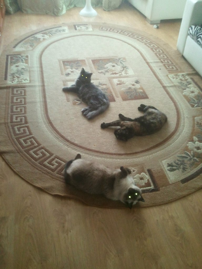 Дмитрий Зятьков | Новосибирск