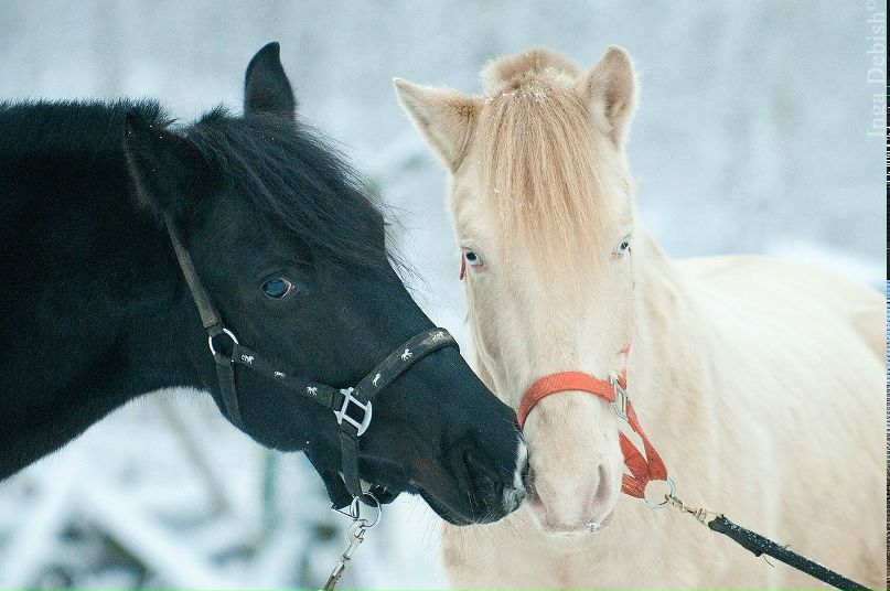 Caterina Kostina | Санкт-Петербург