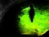 Сергей Степанов | Саратов