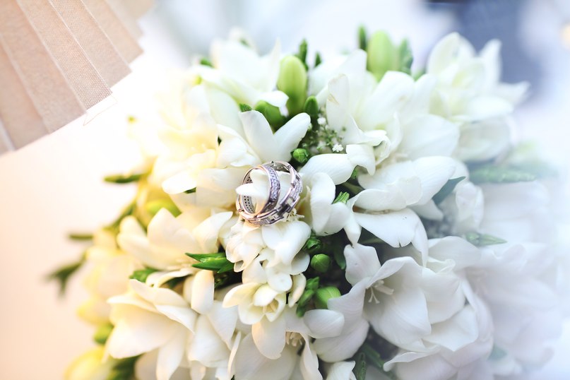 Натусик Габададзе | Николаев