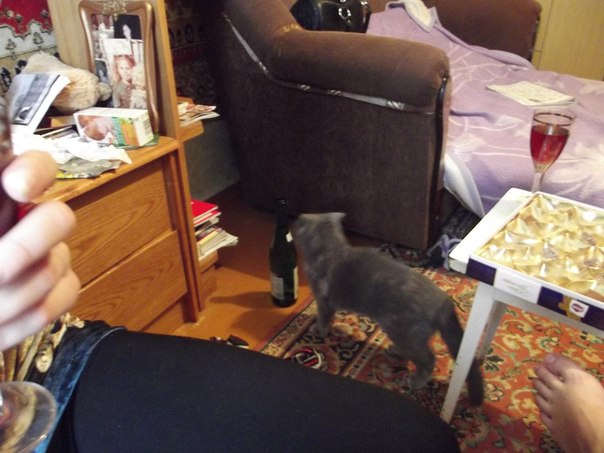 №11, Анюта Гаврилова, 27.6.1990 №11, Анюта Гаврилова, 27.6.1990