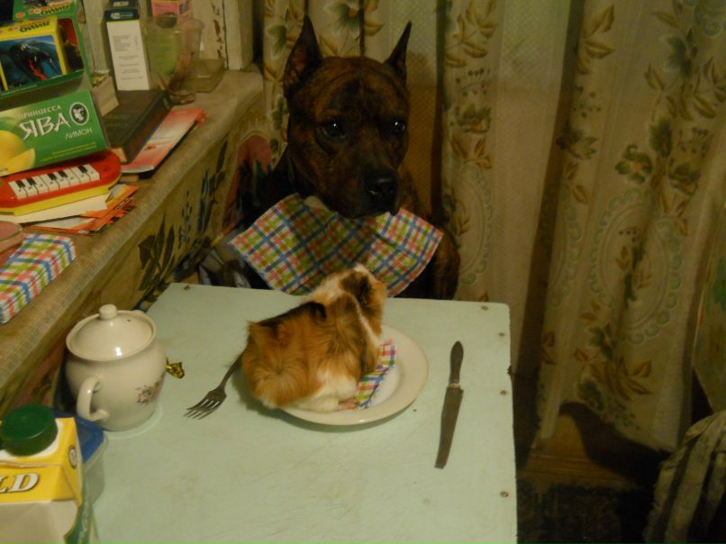 Леся Пнева | Братск