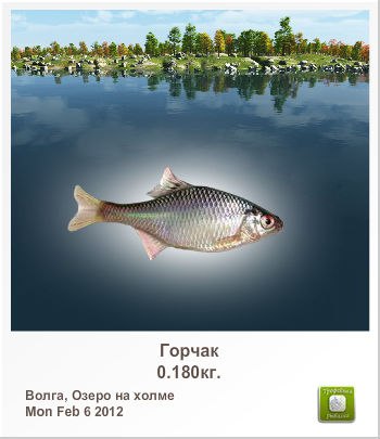 Лина Никифорова | Челябинск