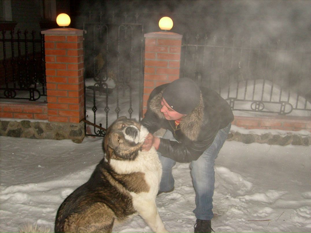 Александр Прокопенко | Харьков