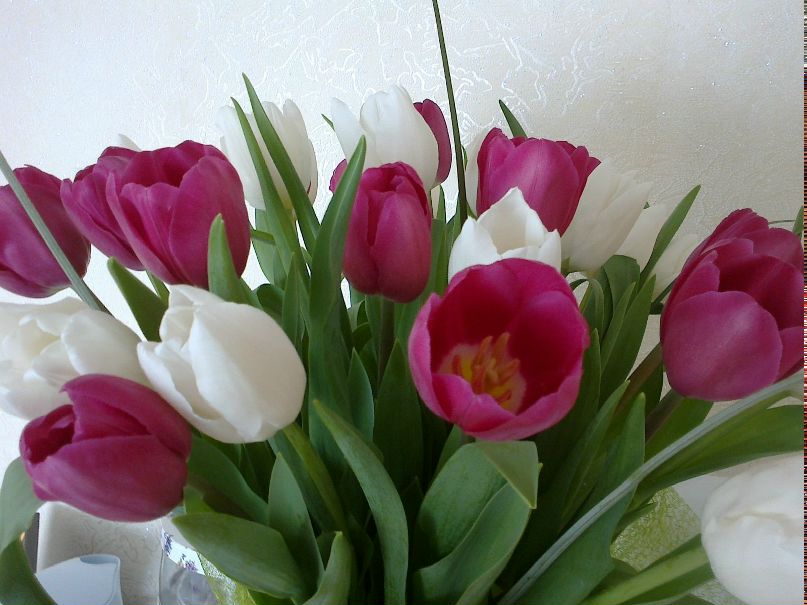 Оксана Дідушок | 