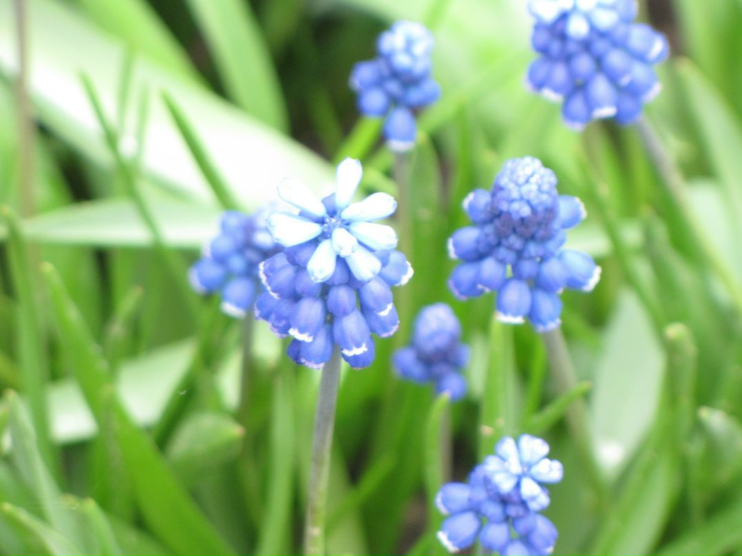 Лена Войцышенко | Санкт-Петербург