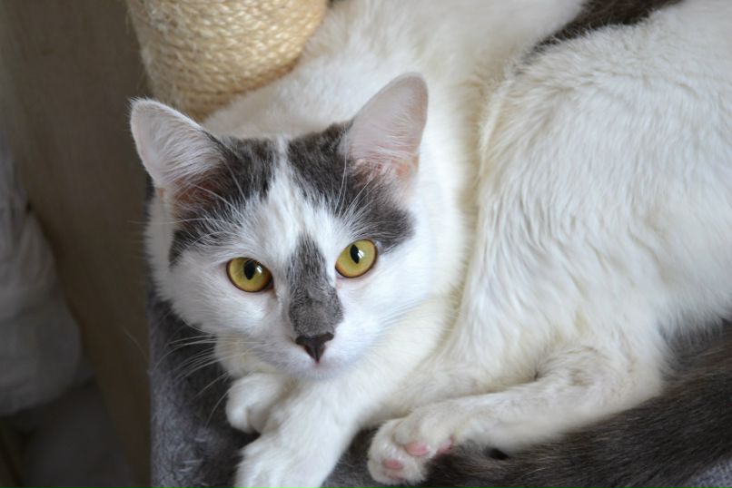 Виктория Феколкина | Москва