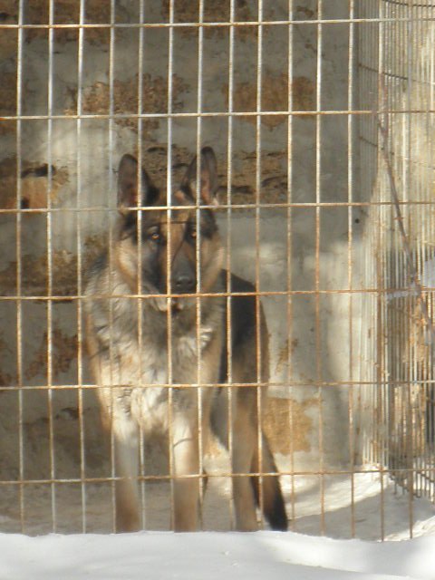 Василий Карпяк | 