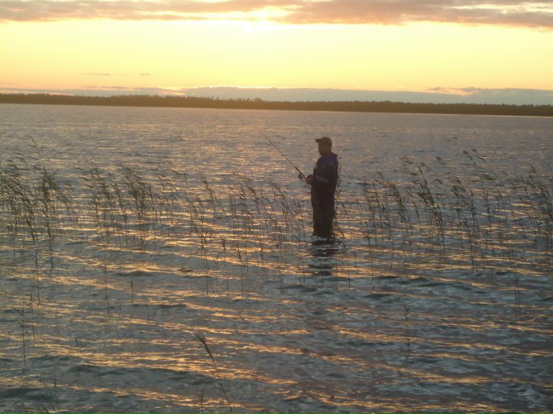 Тимур Лобанов | Тюмень