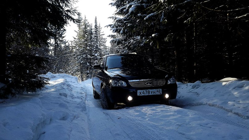 Александр Голтвинцев | Тайга