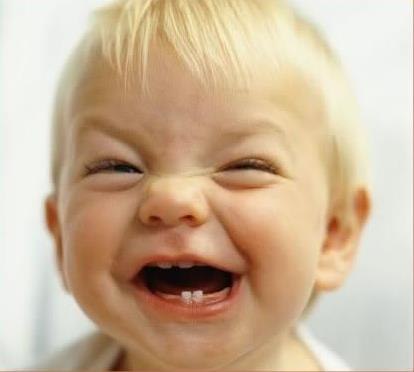 №54, Tatjana Bauer №54, Tatjana Bauer