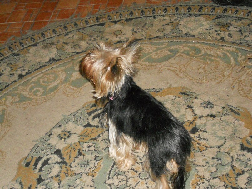 Софья Романовская | Санкт-Петербург