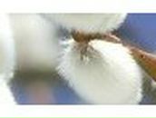 Юрій Козій | Тернополь