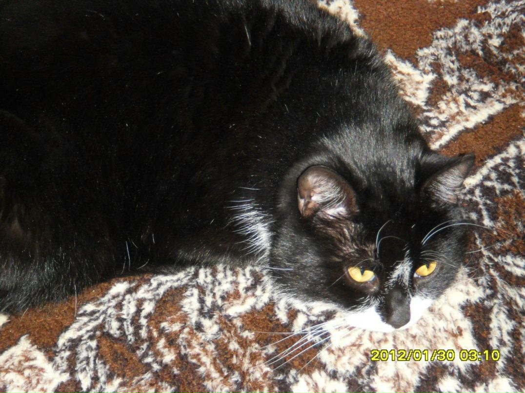 Павел Асонков | Санкт-Петербург