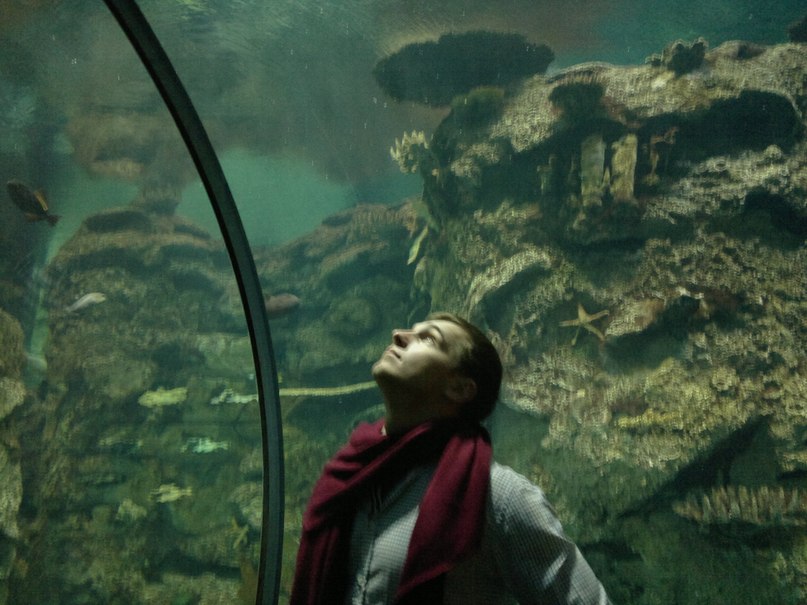 Oleksii Sodolinskyi | Las Vegas