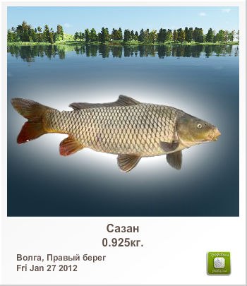 Сергей Шихов | 